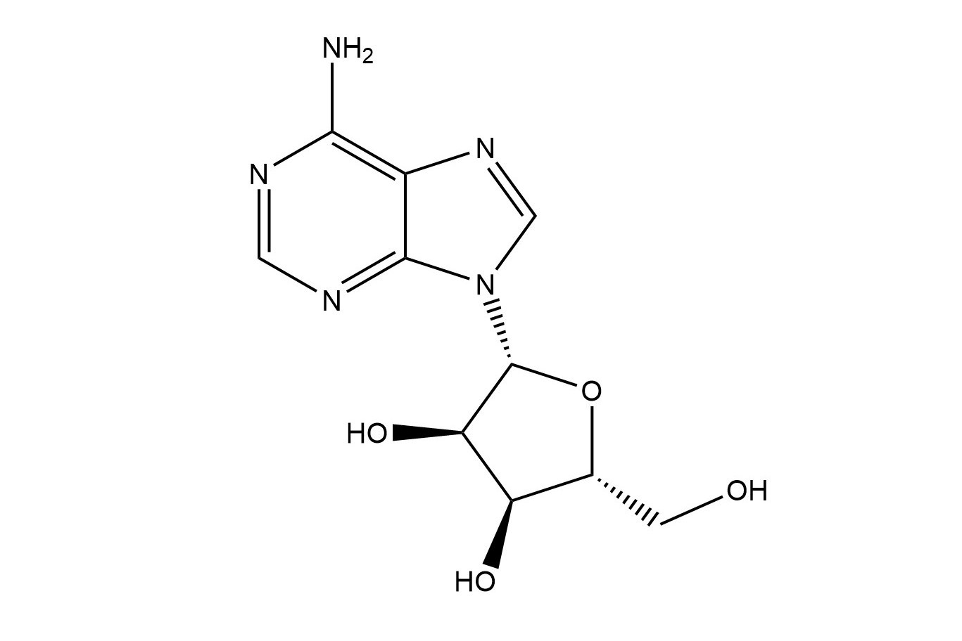 Adenosine 58-61-7